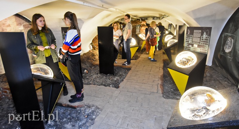 Wieczorne gry, pokazy i wystawy zdjęcie nr 201071