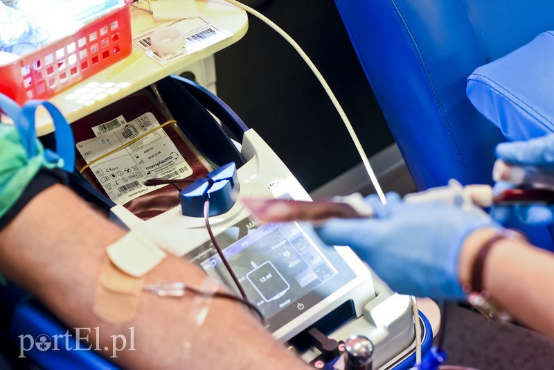 "Niebieska" polała się krew zdjęcie nr 201255