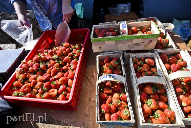 Klienci łapią się za głowę, ale kupują zdjęcie nr 201407