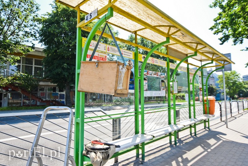 Elbląg Pszczoły zaatakowały przystanek (aktualizacja)