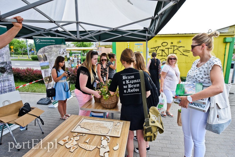 Elbląg Wsiadasz do tramwaju, a tam... dżungla