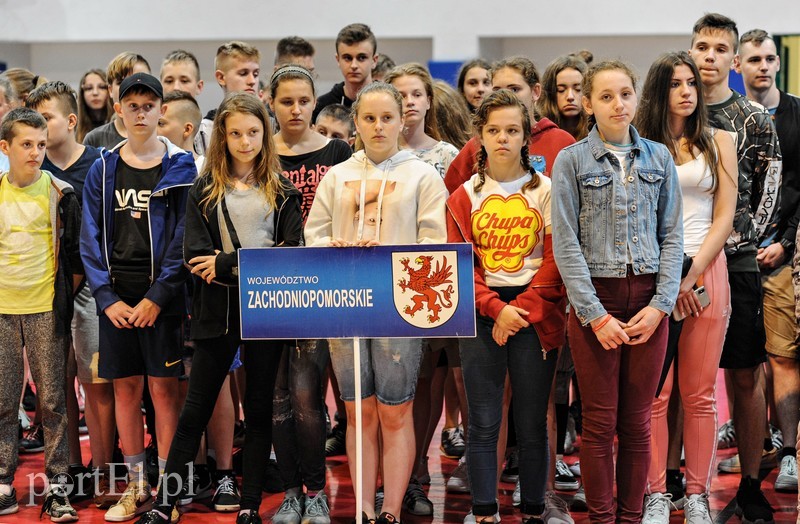 Dla kogo Puchar Bałtyku zdjęcie nr 202786