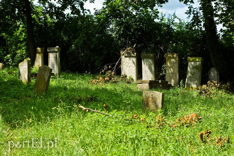 Nad jezioro, na cmentarz i na lody  (Cudze chwalicie, swego nie znacie, odcinek 1)  zdjęcie nr 204503