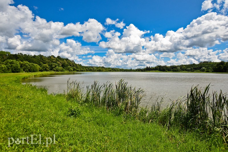 Nad jezioro, na cmentarz i na lody  (Cudze chwalicie, swego nie znacie, odcinek 1)  zdjęcie nr 204544