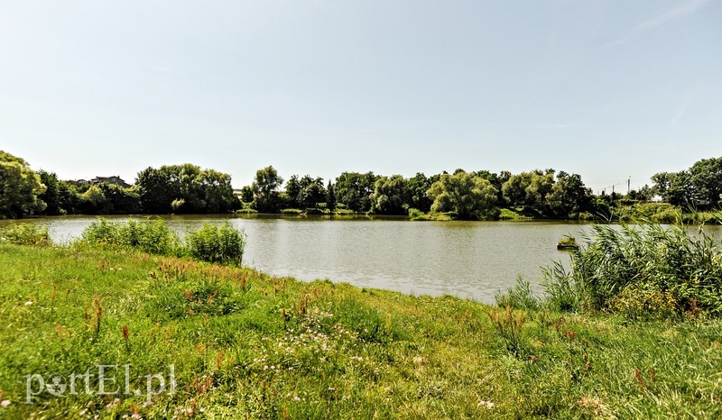 Piękne widoki i smaczne ryby zdjęcie nr 205379