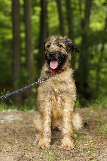 Elbląg Galeria pod psem i kotem (odc. 62)