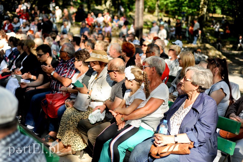 Operowo w Bażantarni zdjęcie nr 205584