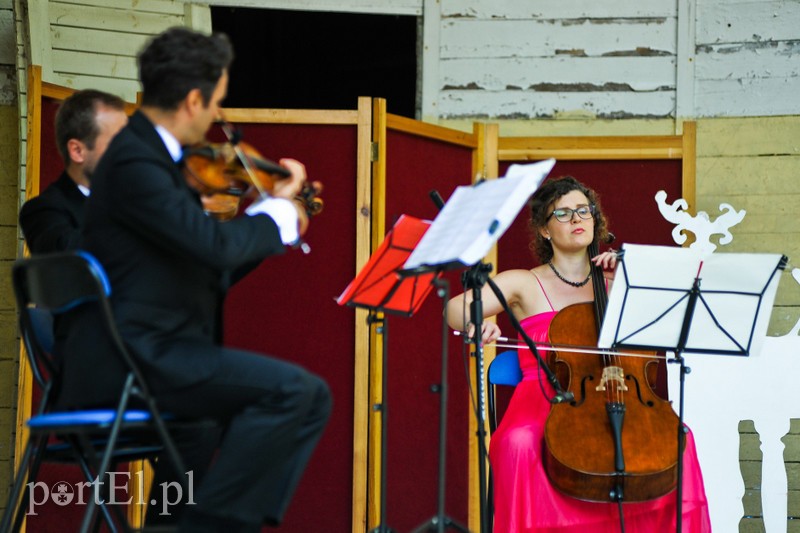 Operowo w Bażantarni zdjęcie nr 205601