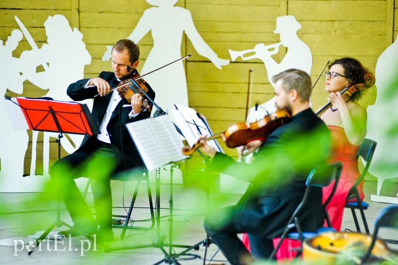 Operowo w Bażantarni zdjęcie nr 205591