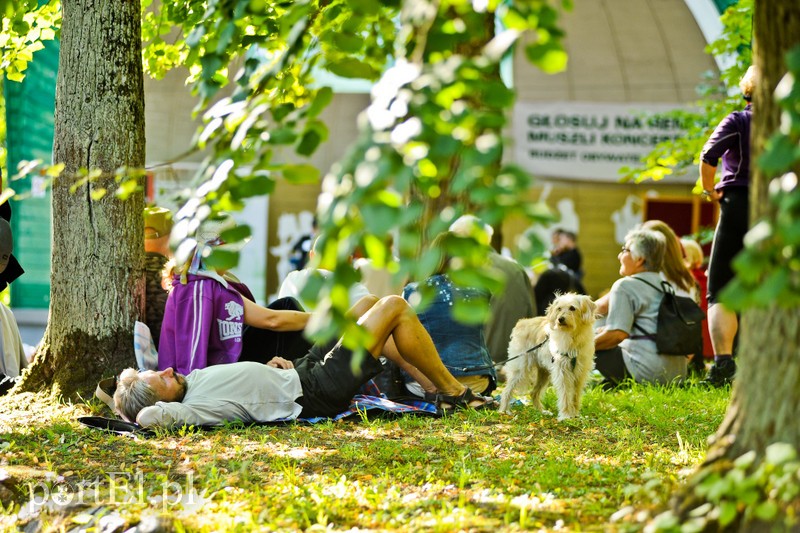 Operowo w Bażantarni zdjęcie nr 205595