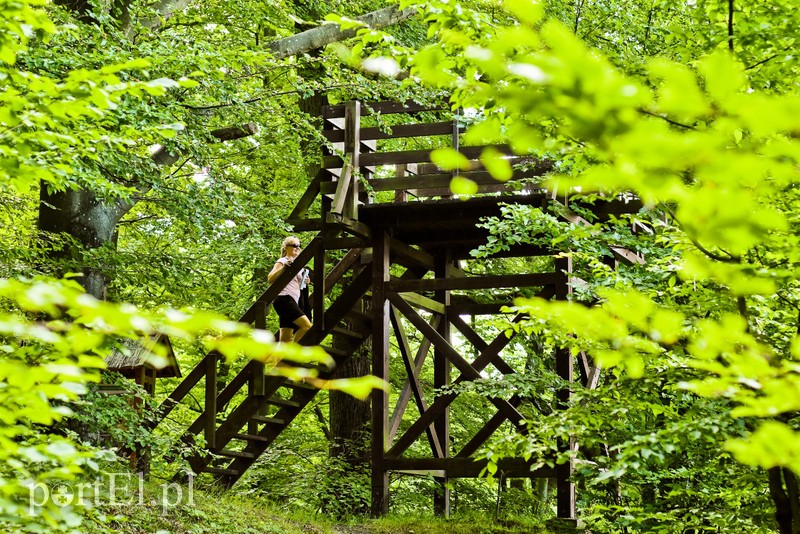 Z wizytą u cesarza Wilhelma (Cudze chwalicie, swego nie znacie, odcinek 4) zdjęcie nr 205994