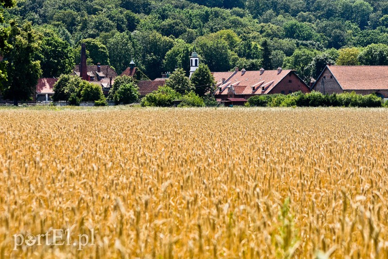 Z wizytą u cesarza Wilhelma (Cudze chwalicie, swego nie znacie, odcinek 4) zdjęcie nr 206046