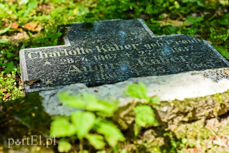 Z wizytą u cesarza Wilhelma (Cudze chwalicie, swego nie znacie, odcinek 4) zdjęcie nr 206045