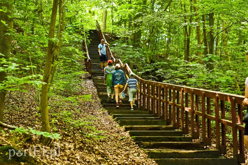 Z wizytą u cesarza Wilhelma (Cudze chwalicie, swego nie znacie, odcinek 4) zdjęcie nr 206000