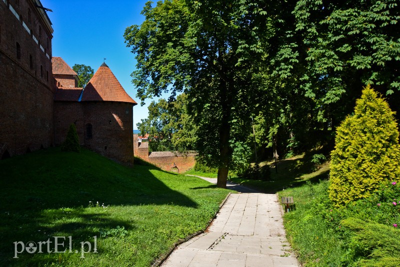 Wycieczka nie z tej ziemi zdjęcie nr 206281