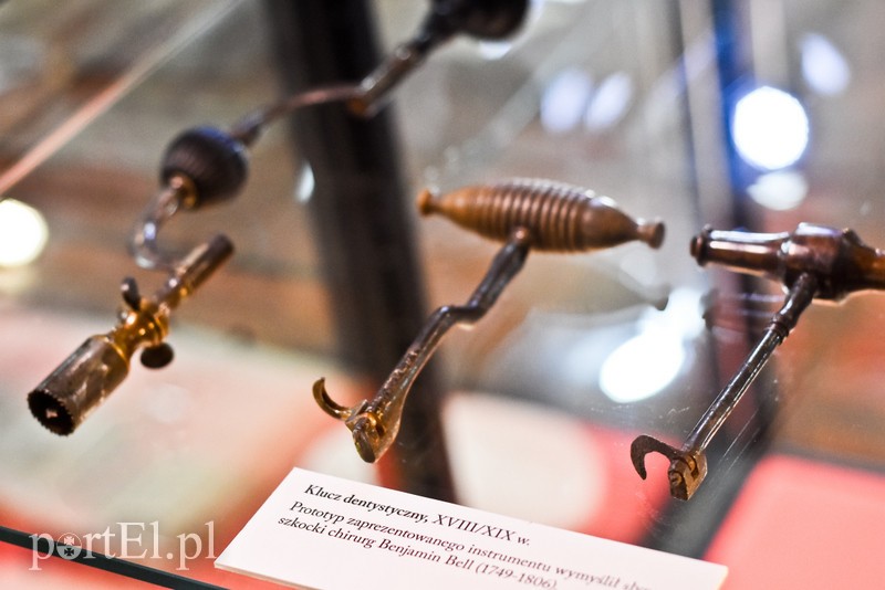 Wycieczka nie z tej ziemi zdjęcie nr 206311