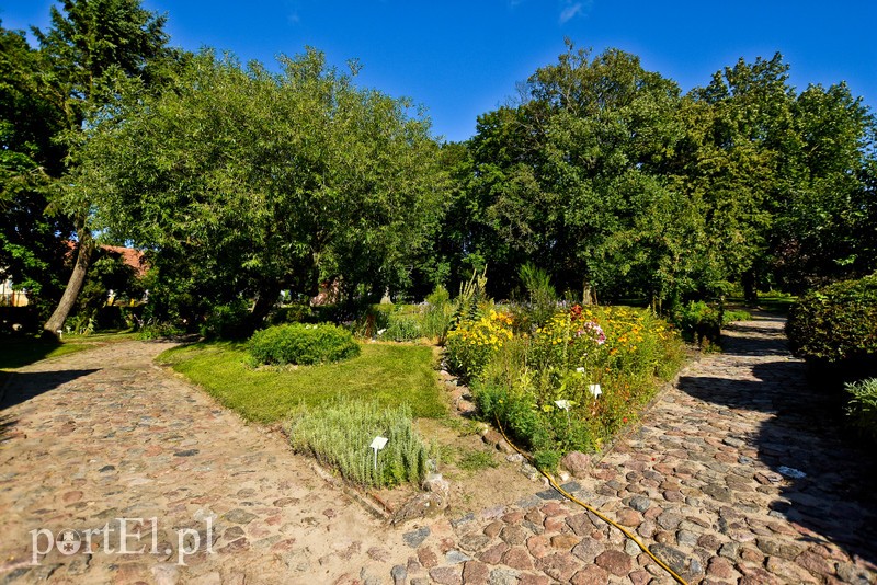 Wycieczka nie z tej ziemi zdjęcie nr 206433