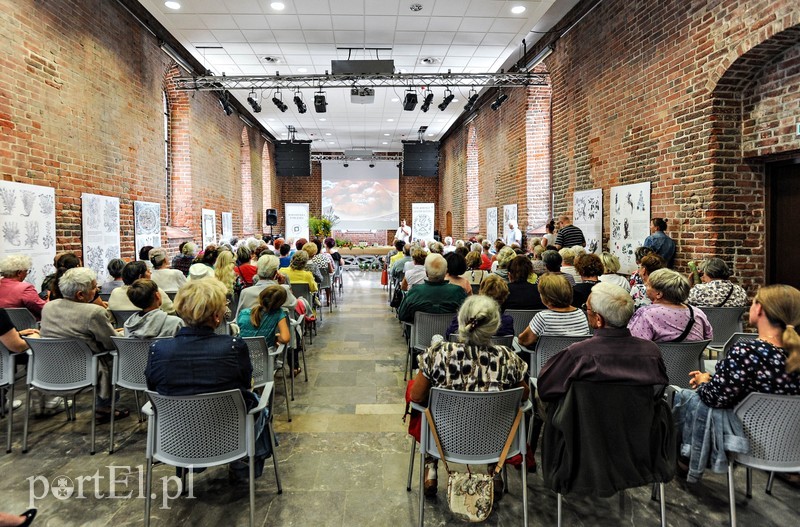 Elbląg Racuchy nie tylko z cukrem pudrem