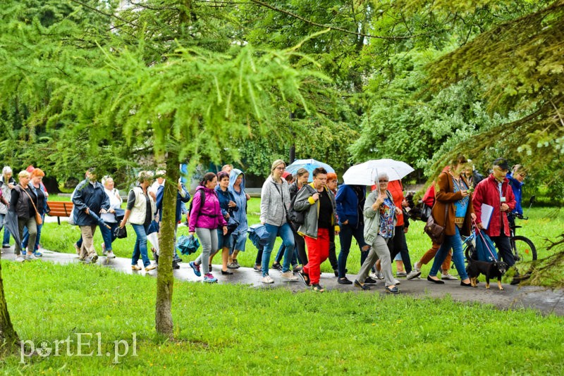 Mniejszości narodowych szukali na cmentarzach zdjęcie nr 207706