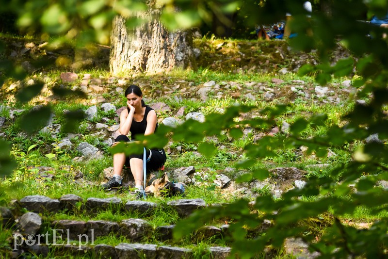 Salon za nami, teraz czas na remont muszli zdjęcie nr 207949