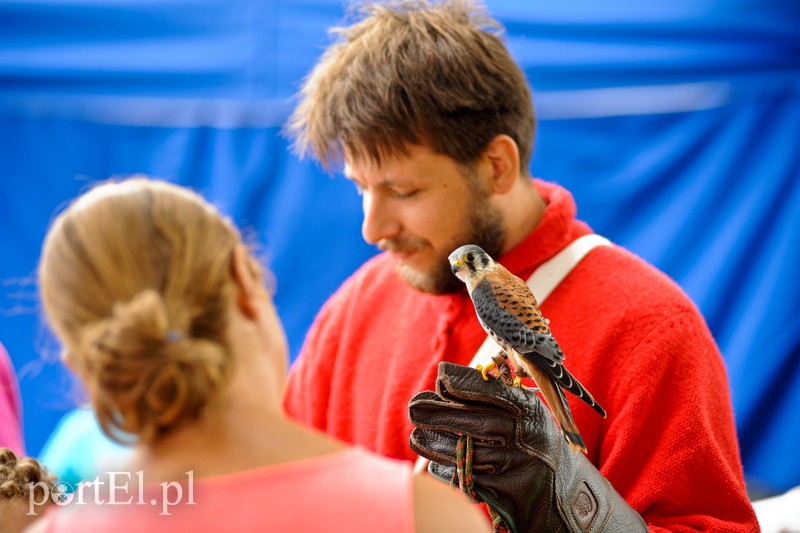 Jarmark pełen atrakcji zdjęcie nr 208408