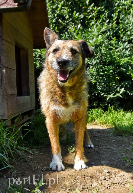 Galeria pod psem i kotem (Odc.70) zdjęcie nr 209067