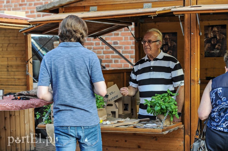 Śladami Ruryka i chlebowych receptur zdjęcie nr 209252