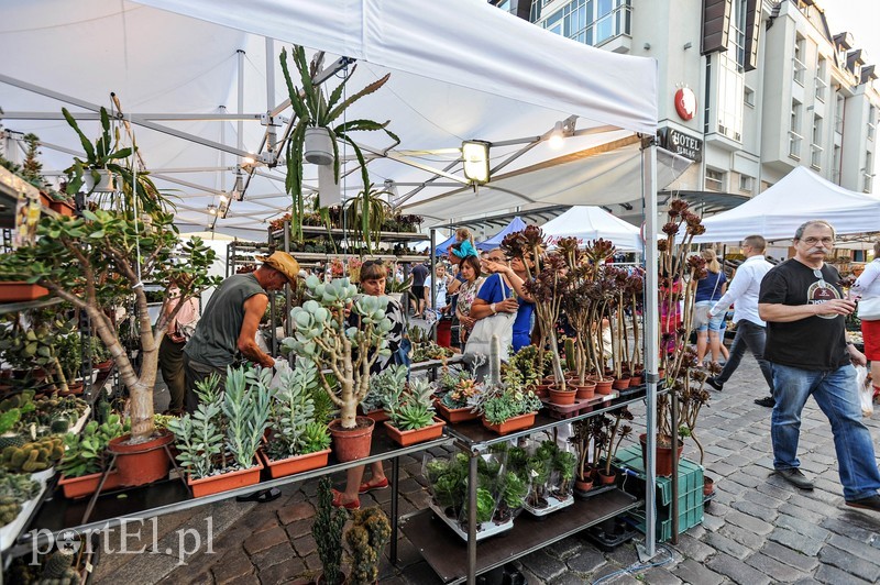 Śladami Ruryka i chlebowych receptur zdjęcie nr 209261