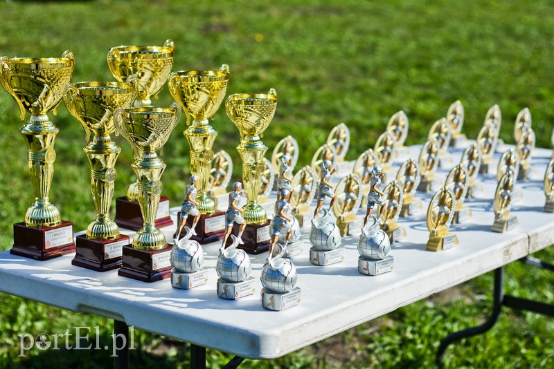 Elbląg Bażant złapany