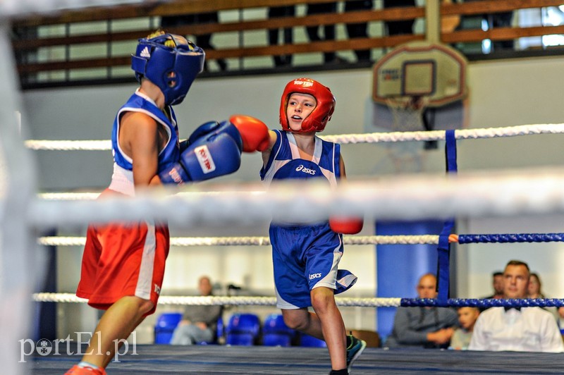 Bokserskie święto na wysokim poziomie zdjęcie nr 211448