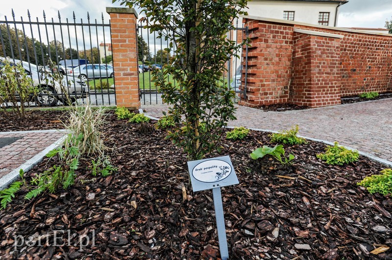  Czytanie będzie miało zapach lawendy zdjęcie nr 212005