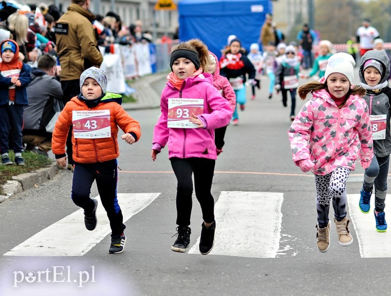  Biegiem uczcili niepodległość zdjęcie nr 214735