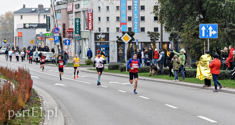  Biegiem uczcili niepodległość zdjęcie nr 214819