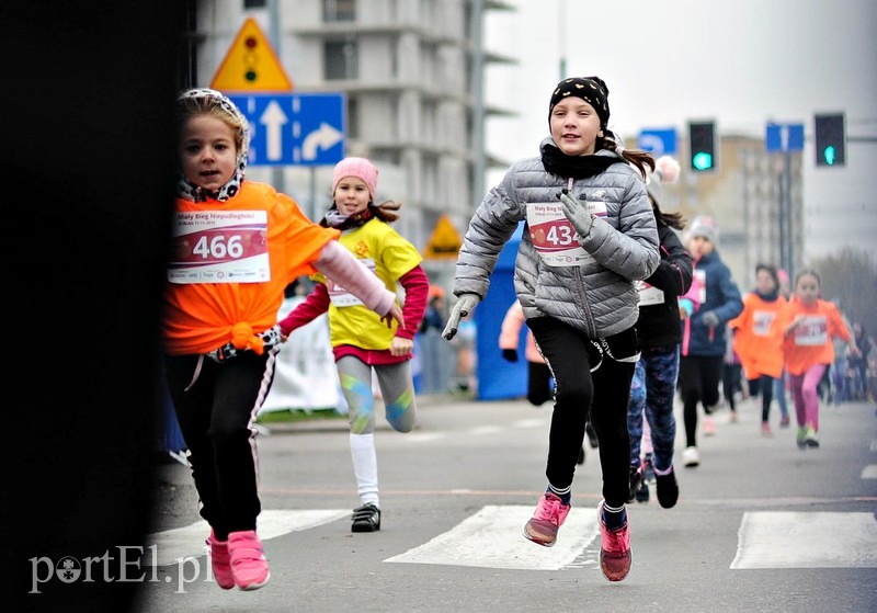  Biegiem uczcili niepodległość zdjęcie nr 214753