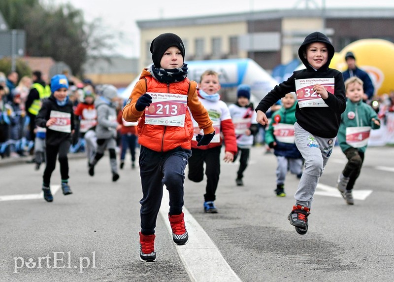 Biegiem uczcili niepodległość zdjęcie nr 214741