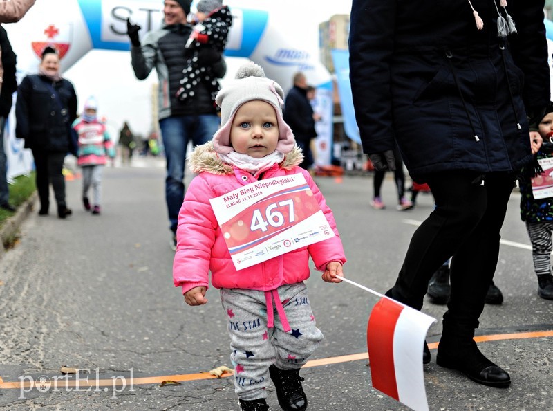  Biegiem uczcili niepodległość zdjęcie nr 214696
