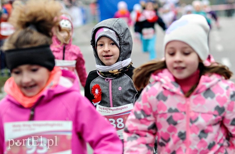  Biegiem uczcili niepodległość zdjęcie nr 214736