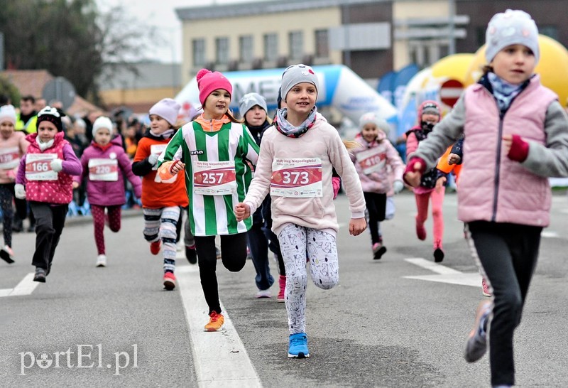  Biegiem uczcili niepodległość zdjęcie nr 214747