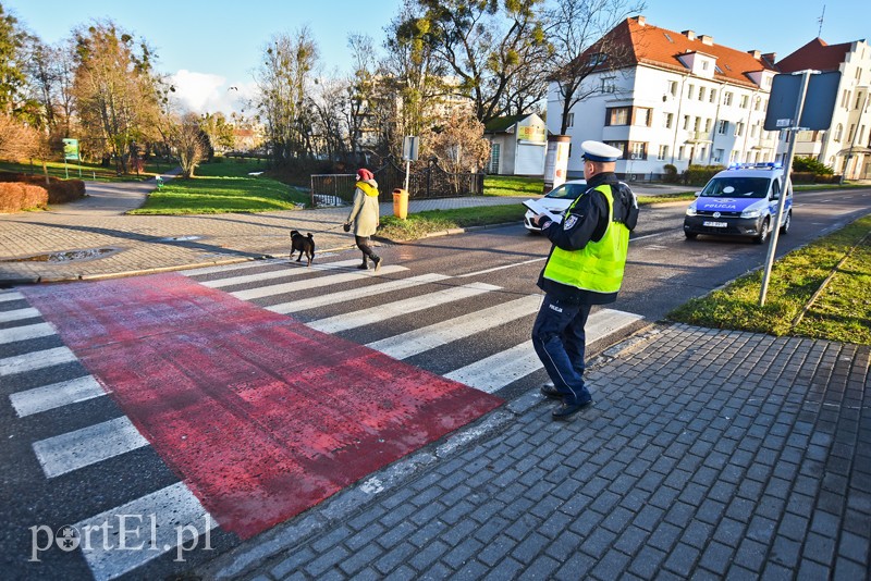 Elbląg Potrącenie rowerzystki na przejściu dla pieszych