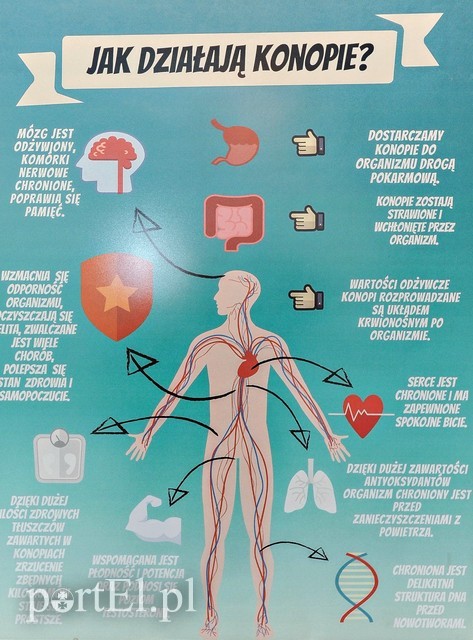 Nie odurza, nie uzależnia, a przynosi ulgę zdjęcie nr 216353