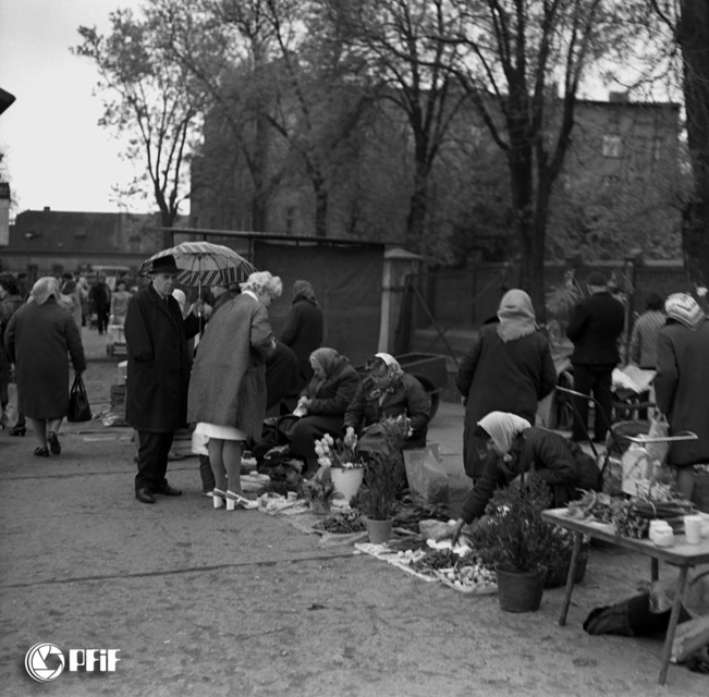 Elbląski handel za czasów PRL zdjęcie nr 217140