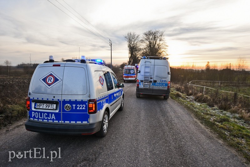 Elbląg 19-latka uderzyła w drzewo