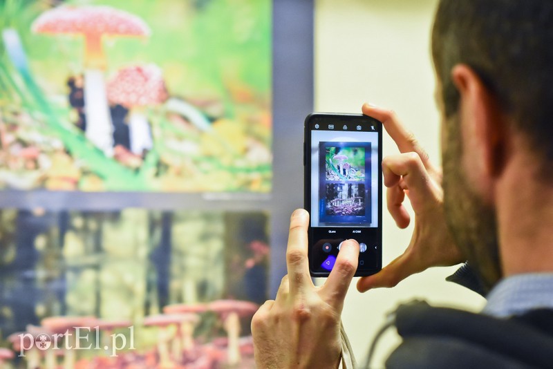 Pokazali piękno regionu na swoich zdjęciach zdjęcie nr 218572