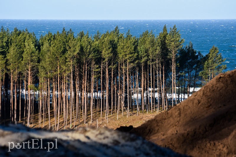Co słychać na przekopie zdjęcie nr 219742