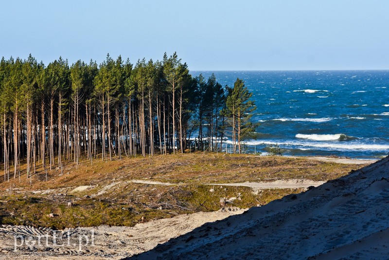 Co słychać na przekopie zdjęcie nr 219744