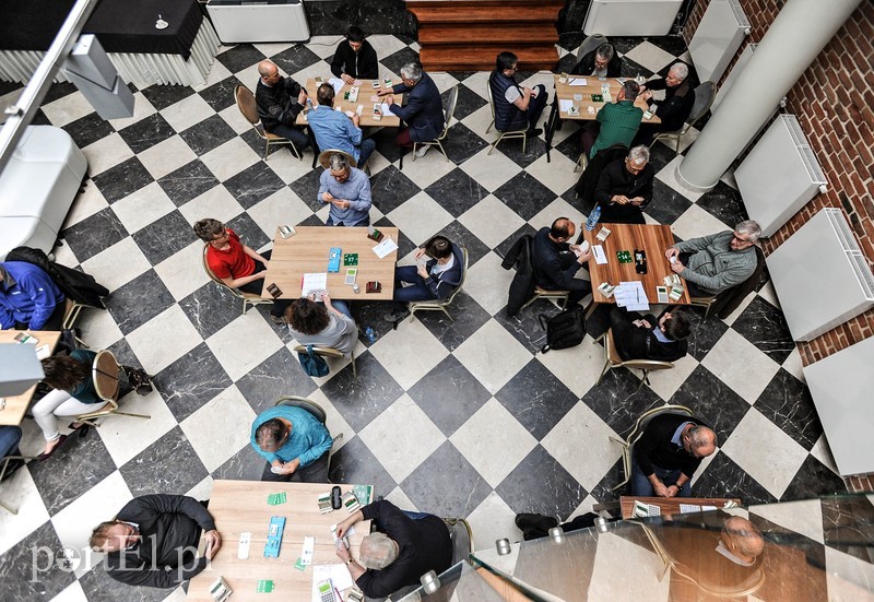 Elbląg Elbląska stolica brydża