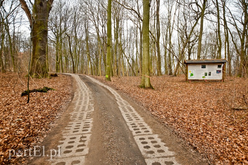 Nowe atrakcje na starej ścieżce zdjęcie nr 219878