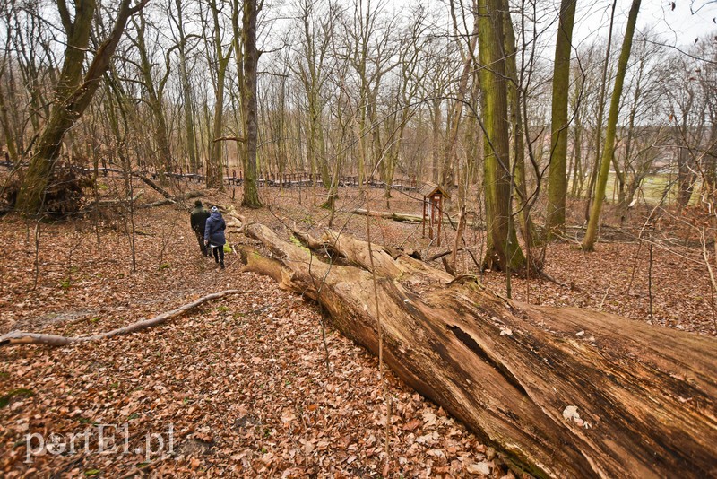 Nowe atrakcje na starej ścieżce zdjęcie nr 219881