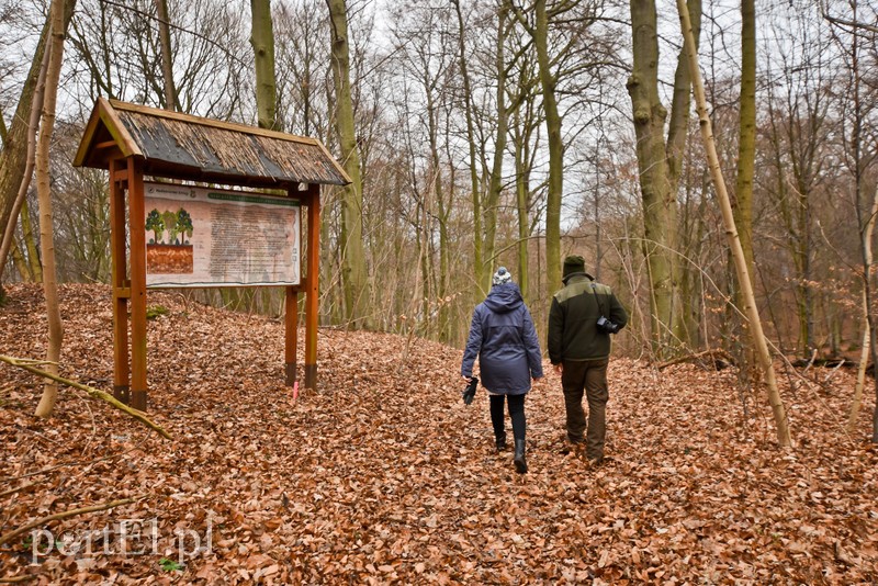 Nowe atrakcje na starej ścieżce zdjęcie nr 219880