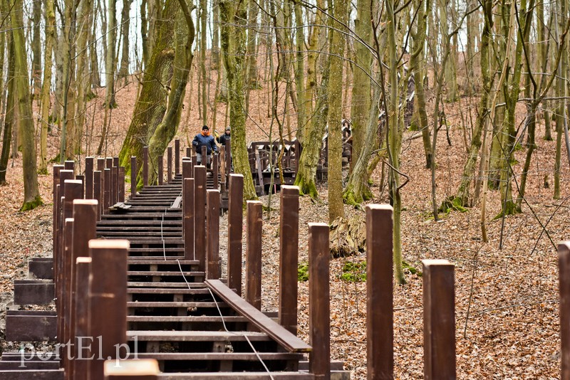 Nowe atrakcje na starej ścieżce zdjęcie nr 219883